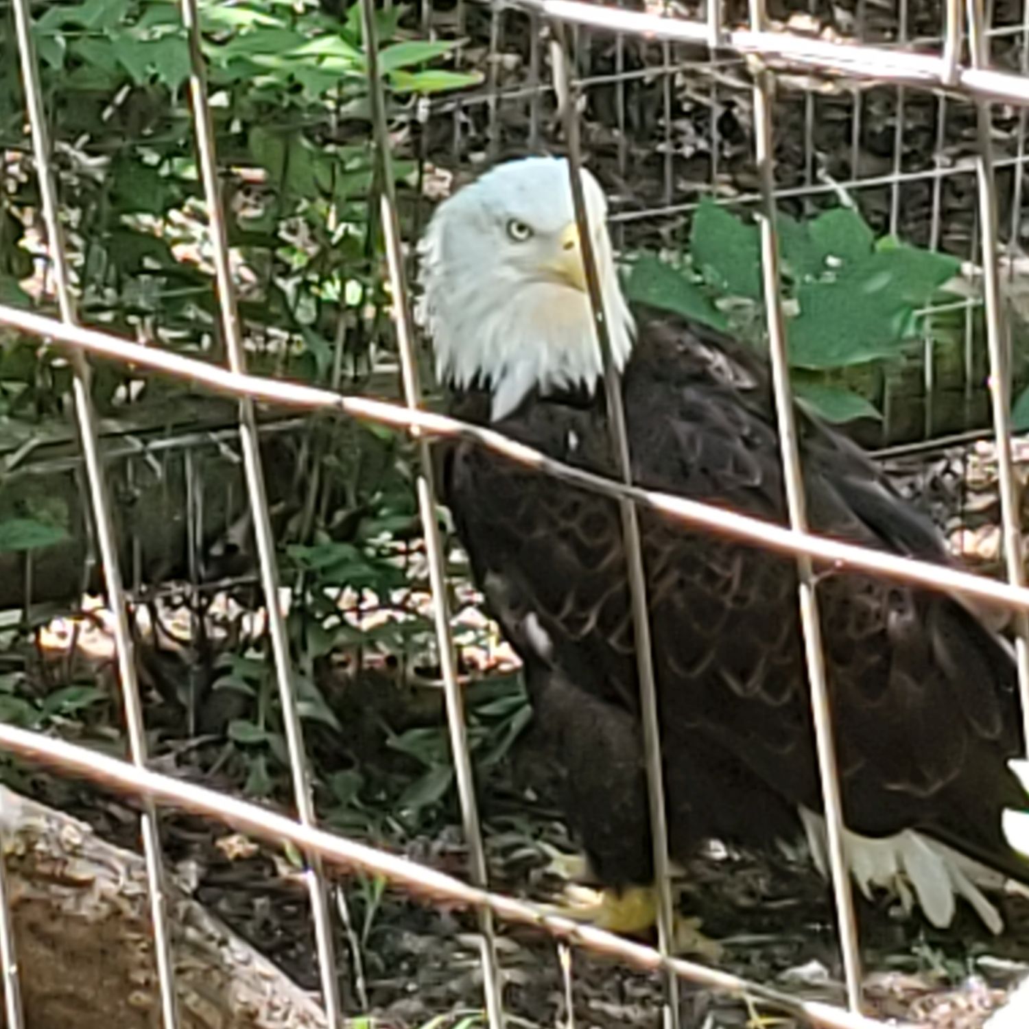 Sedgwick County Zoo 